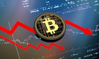 大手笔低位回购 超百家公司齐出手（附名单）